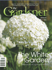 Gardener (The)